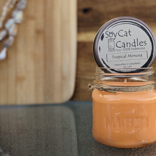 SoyCat Candles 8 oz Tropical Mimosa (Sparkling citrus & mango scented/100% Soy Wax/Homemade/Rustic Style)