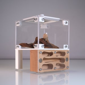 Ameisenfarm aus Buchenholz mit Außenumgebung – Ameisenfarm mit integrierter Futtersuche – All-in-One-Ameisenfarm – Ameisenfarm mit Futtersuche inklusive