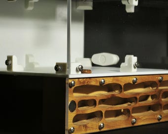 Formicaio in legno con foraggiamento incluso, formicaio in legno d'ulivo