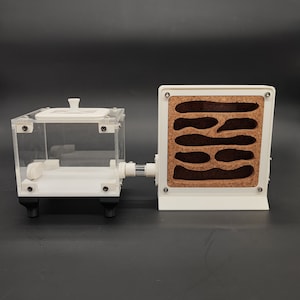 Fourmilière en liège avec monde extérieur - kit de démarrage pour fourmilière en liège - fourmilière initiale