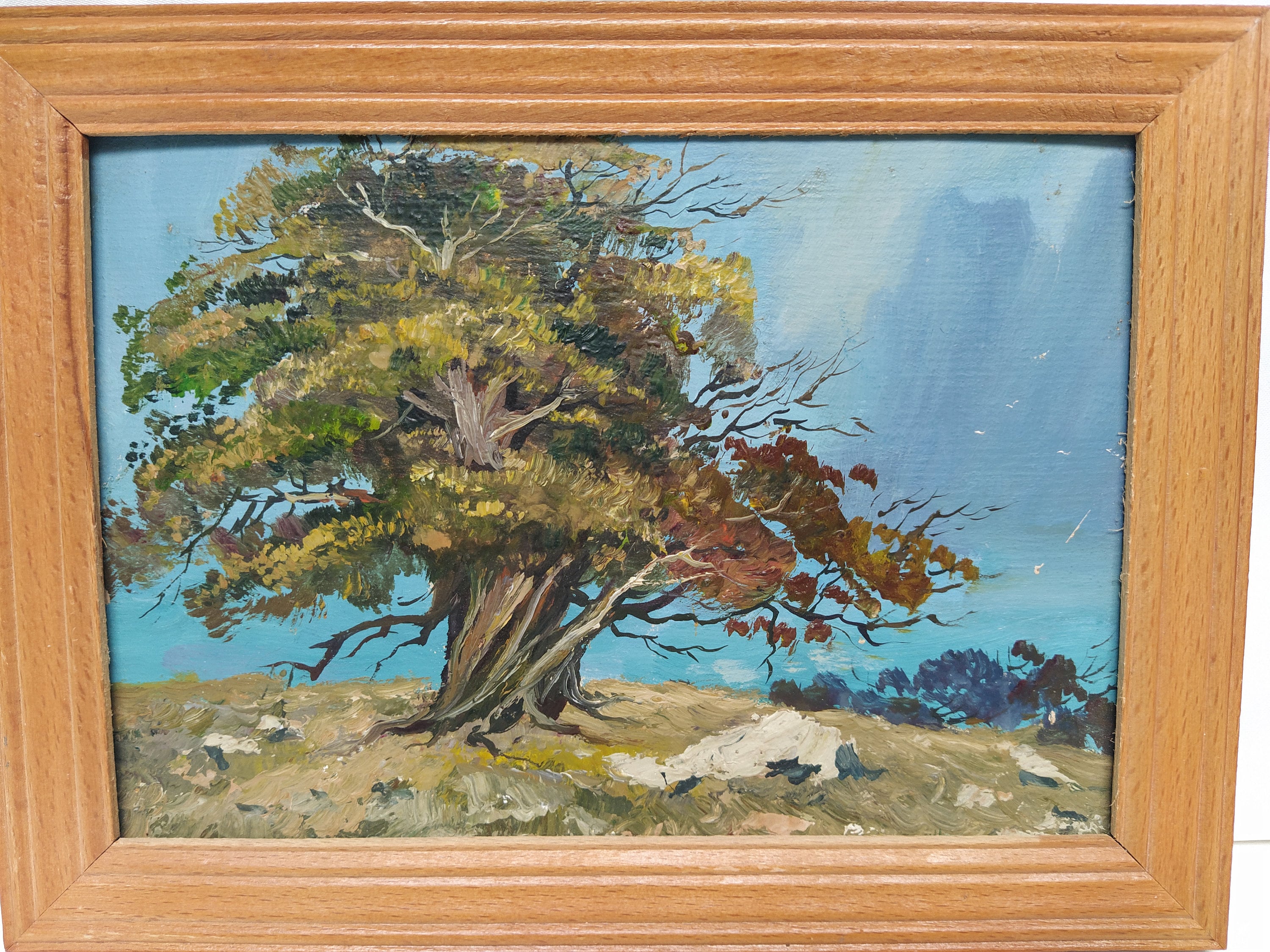 Juniper Art Tree Painting Oil 10x7 In Vintage Coastal Etsy UK
