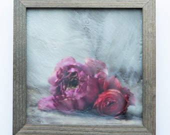 Photo Encaustic Framed Print - "Tender Touch"