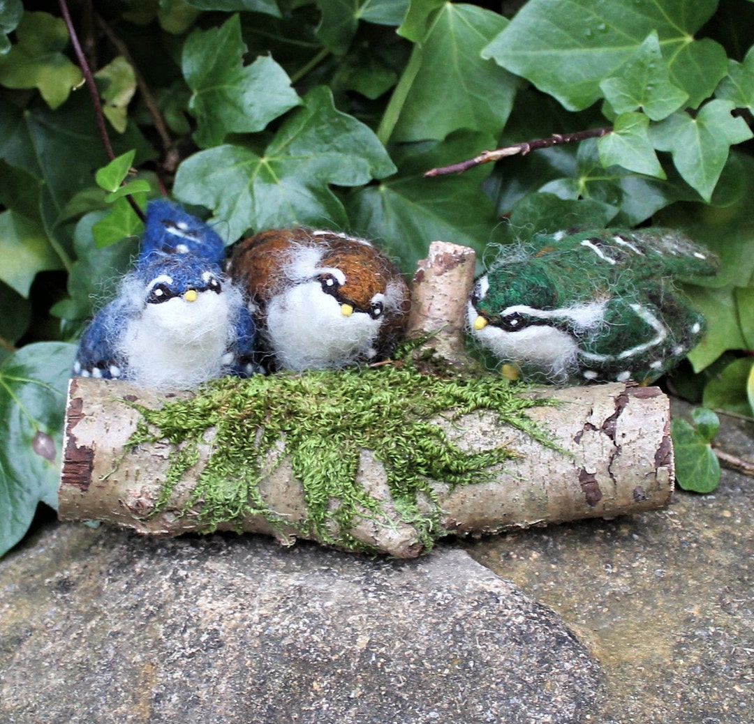 Indigo Bunting on a foggy morning in the Moss Rock Preserve-Hoover ., image size:1080x1038