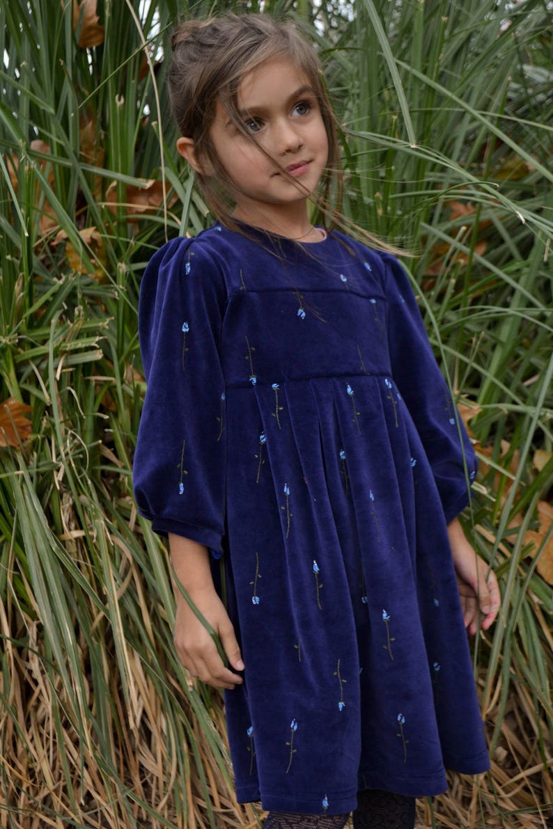 Blue Velvet dress Christmas dress Winter dress Birthday costume Anniversary dress Royal blue Long sleeve Velvet with flowers Christmas gift image 2