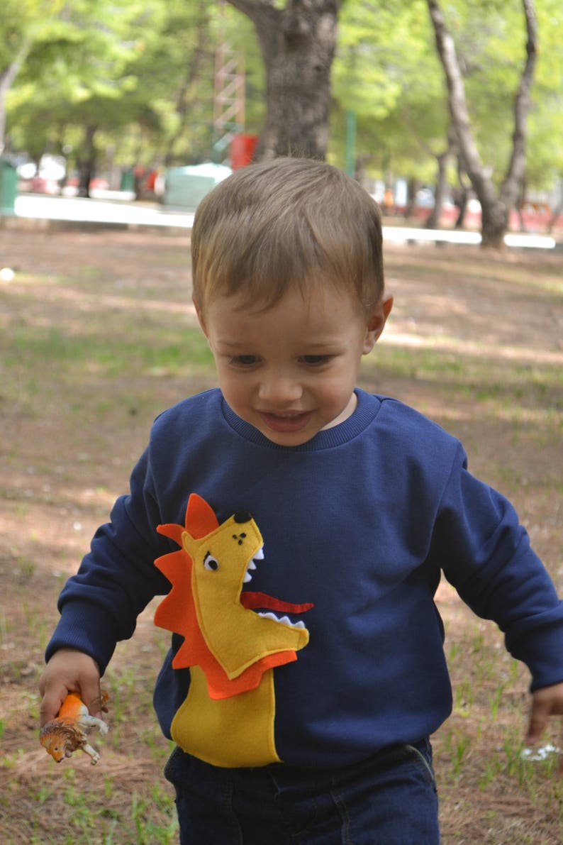 Lion sweatshirt Lion applique shirt Lion boys shirt Wild animals outfit Blue sweater Lion toddler sweater Applique shirt Personalized shirt image 1