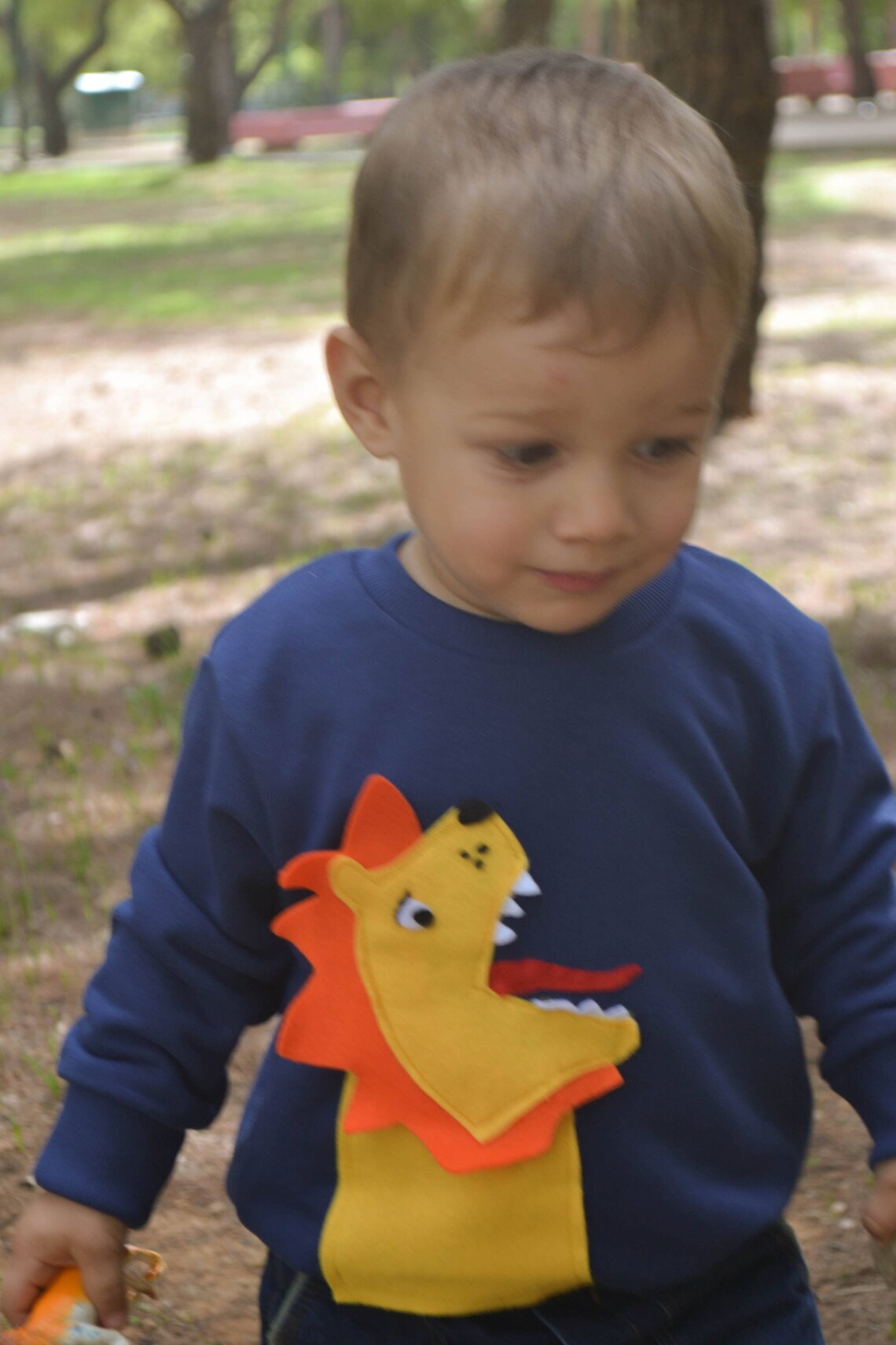 Lion Sweatshirt Lion Applique Shirt Lion Boys Shirt Wild Etsy