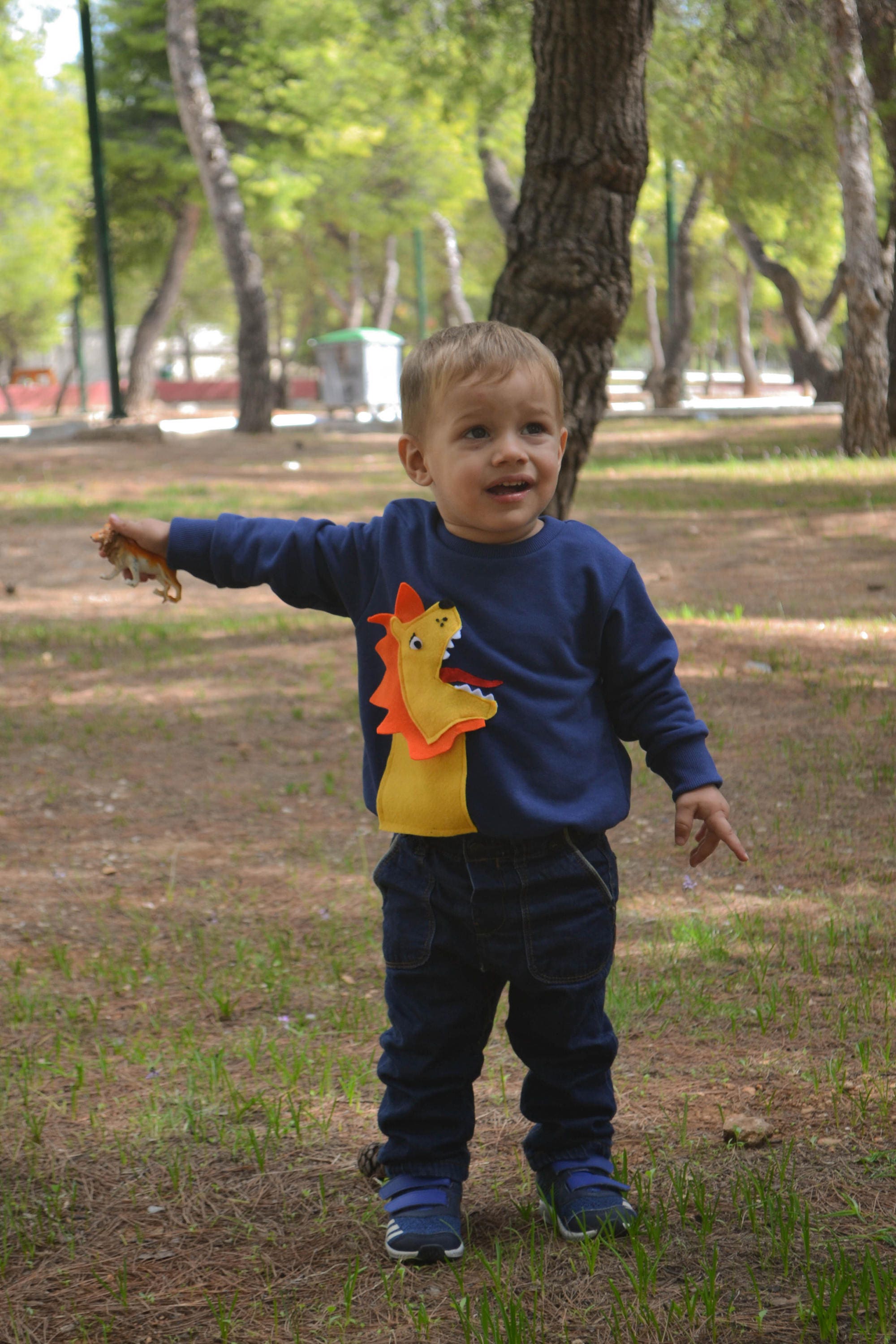 Lion Kids Sweater
