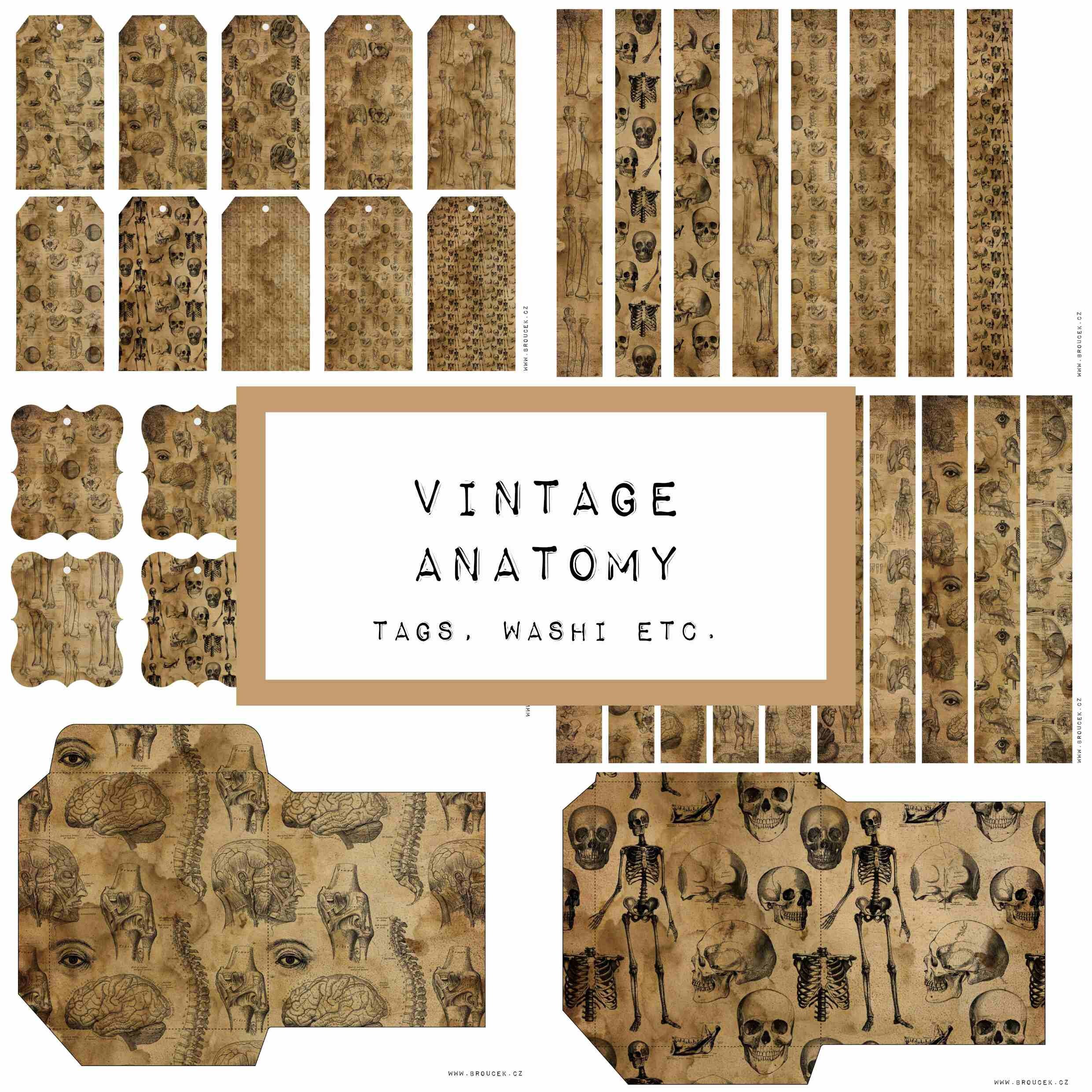 VINTAGE ANATOMY Tags Washi Etc. Digital JUNK Journal - Etsy