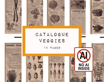 Vintage Vegetable Seed Catalogue Pages – 10 Original Antique Botanical Prints | Junk Journal Ephemera | No AI, KC0693, digital download