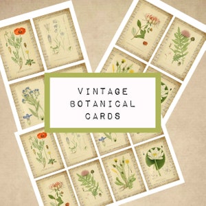 VINTAGE botanische kaarten, digitale JUNK journal afdrukbaar, tijdschrift ephemera, junk journal papier, kunst journal, bloem, katecrafts, journaling