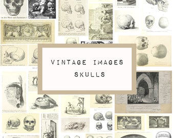 VINTAGE IMAGES SKULLS, digital junk journal printable, journal ephemera, junk journal paper, vintage paper, KC0381, bones, katecrafts
