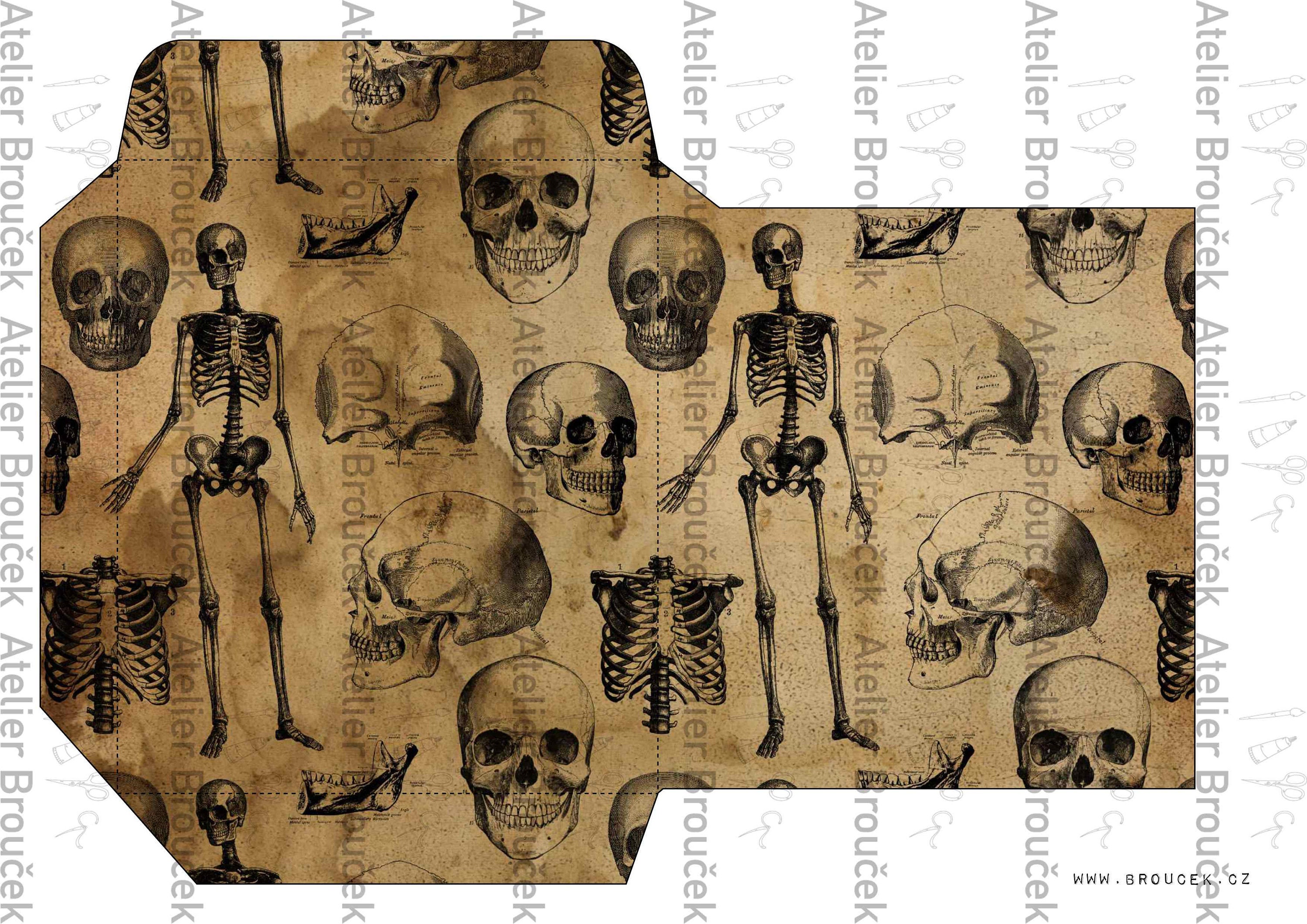 VINTAGE ANATOMY Tags Washi Etc. Digital JUNK Journal - Etsy