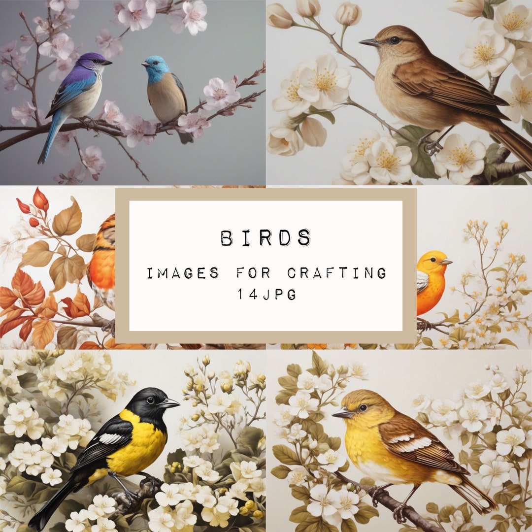 Bird Illustration Images, Vintage Style, Paper Crafting (digital ...