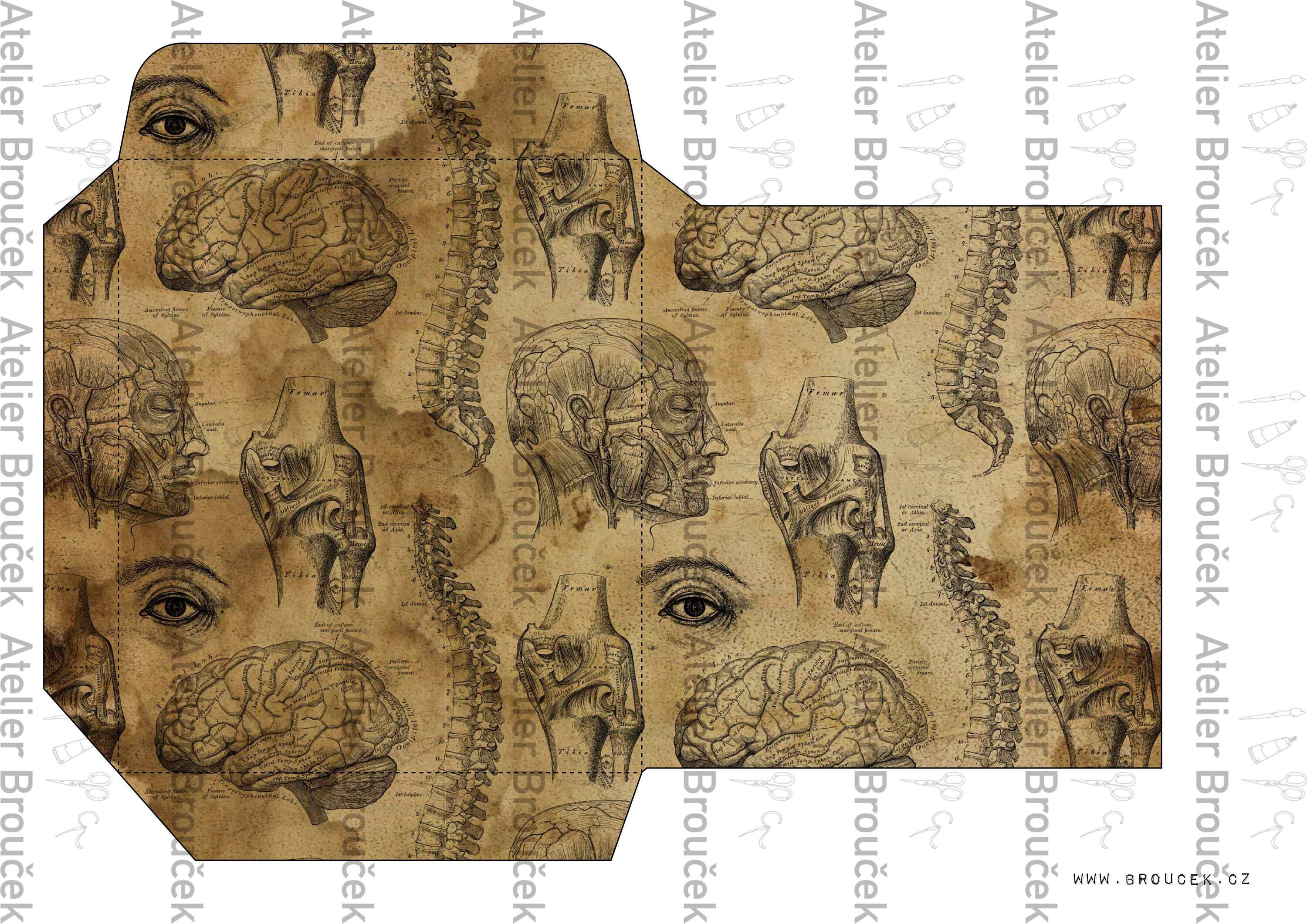 VINTAGE ANATOMY Tags Washi Etc. Digital JUNK Journal - Etsy