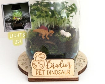 DIY Dinosaur Terrarium Kit - Crafts for Kids - Light Up Terrarium - Mason Jar Solar Lid Terrarium - Mason Jar Kit -DIY Craft Kit