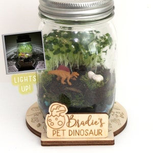 DIY Dinosaur Terrarium Kit - Crafts for Kids - Light Up Terrarium - Mason Jar Solar Lid Terrarium - Mason Jar Kit -DIY Craft Kit