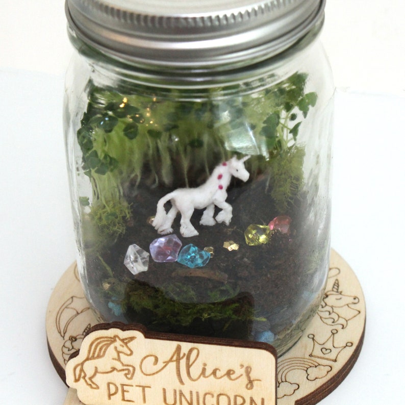 DIY Unicorn Terrarium Kit Manualidades para niños Light Up Terrarium Mason Jar Solar Lid Terrarium Mason Jar Kit DIY Craft Kit Pegasus imagen 3