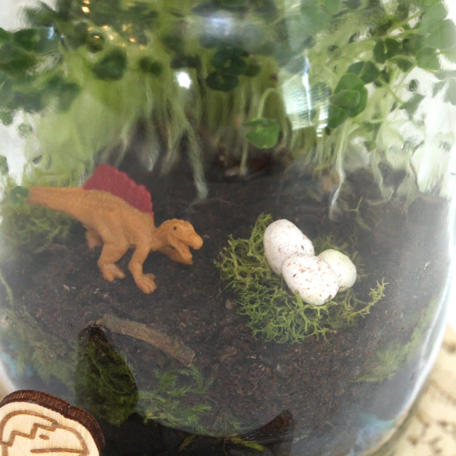 DIY Dinosaur Terrarium Kit Crafts for Kids Light up Terrarium Mason Jar
