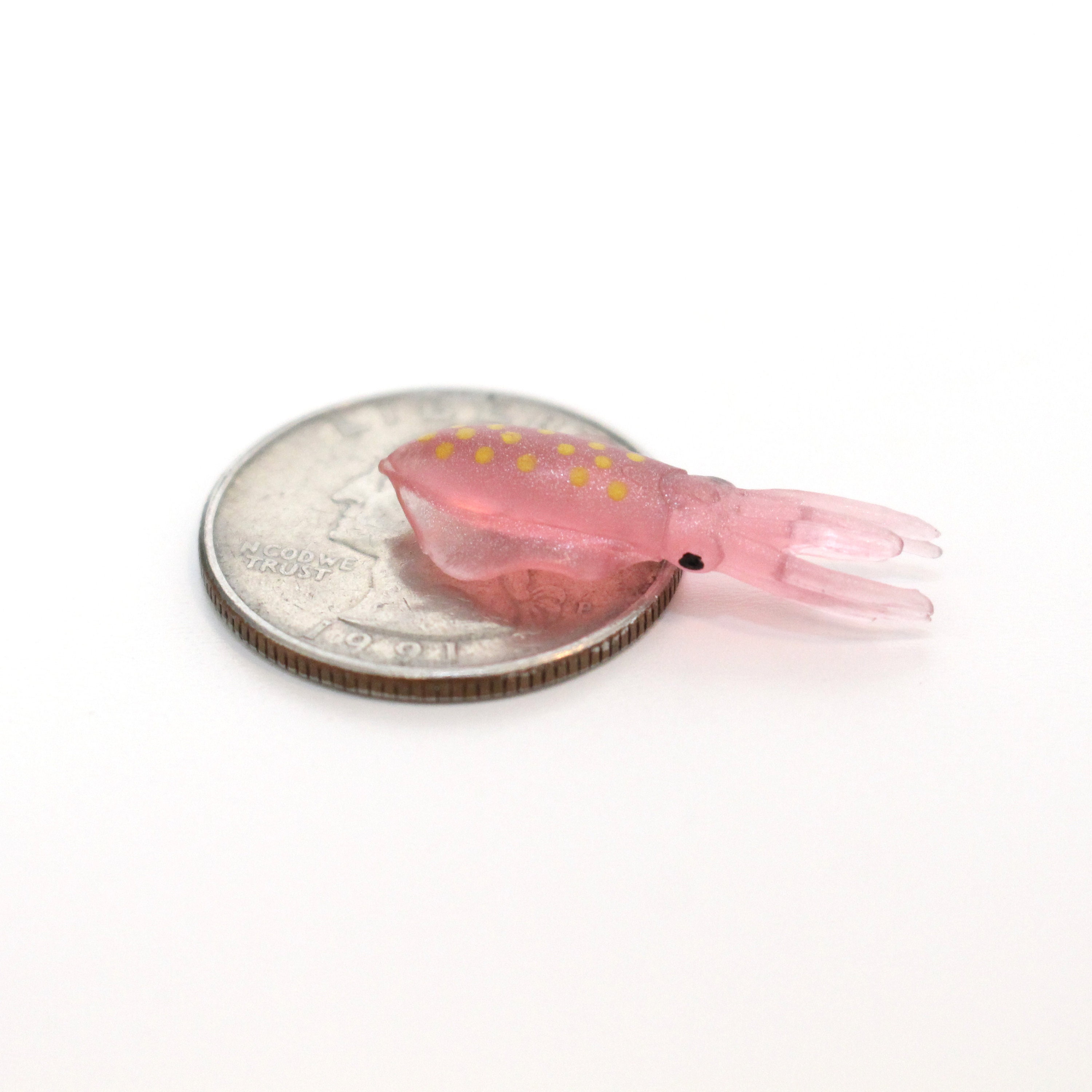 Set of Miniature Squids Mini Squid Terrarium Supplies - Etsy