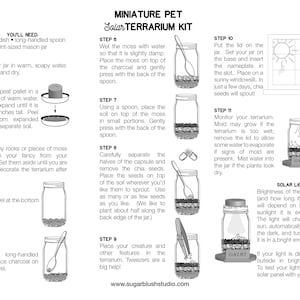 DIY Unicorn Terrarium Kit Crafts for Kids Light Up Terrarium Mason Jar Solar Lid Terrarium Mason Jar Kit DIY Craft Kit Pegasus image 9