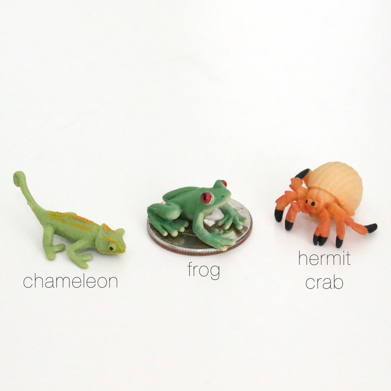 Set of Miniature Animals Choose Any Set Terrarium Supplies Etsy
