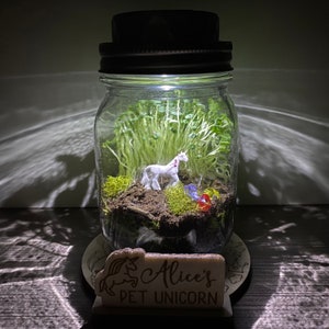 DIY Unicorn Terrarium Kit Crafts for Kids Light Up Terrarium Mason Jar Solar Lid Terrarium Mason Jar Kit DIY Craft Kit Pegasus Kit WITH Glass Jar