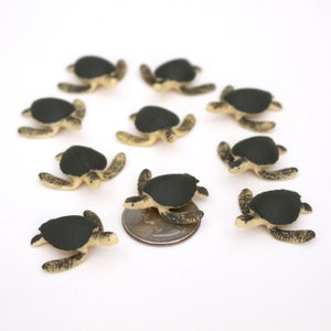 Set of Miniature Sea Turtles - Mini Turtles - Terrarium Supplies  Teeny Tiny Pack of Sea Turtles Diorama Supplies Soap Making READY TO SHIP!