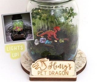 DIY Dragon Terrarium Kit - Crafts for Kids - Light Up Terrarium - Mason Jar Solar Lid Terrarium - Mason Jar Kit - DIY Craft Kit - Pet Dragon