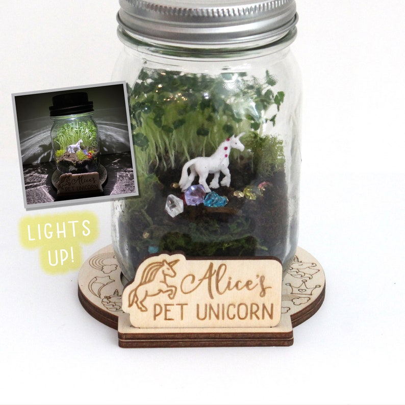 DIY Unicorn Terrarium Kit Crafts for Kids Light Up Etsy