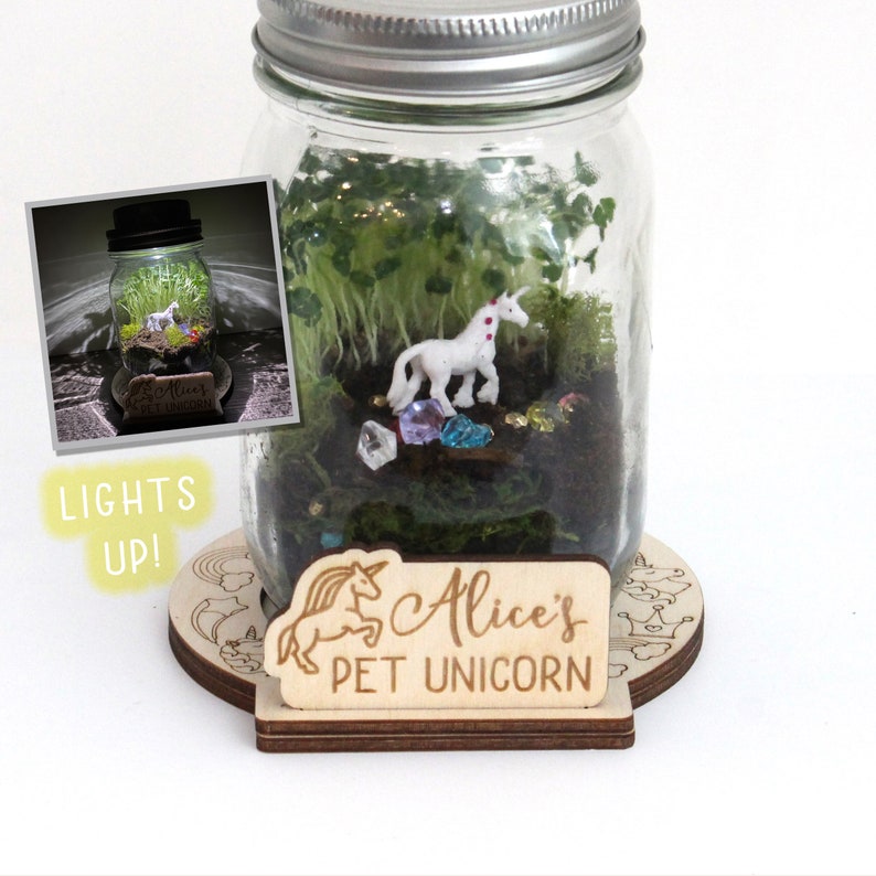 DIY Unicorn Terrarium Kit Manualidades para niños Light Up Terrarium Mason Jar Solar Lid Terrarium Mason Jar Kit DIY Craft Kit Pegasus imagen 1