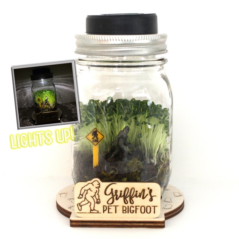 DIY Bigfoot Terrarium Kit Crafts for Kids Light Up Terrarium Mason Jar Solar Lid Terrarium Mason Jar Kit DIY Craft Kit Sasquatch image 1