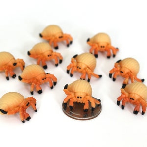 May include: Ten miniature orange hermit crabs with black eyes. The crabs are made of plastic and are about the size of a dime.