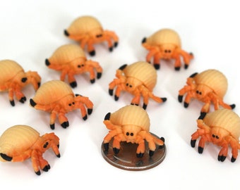 Set of Miniature Hermit Crabs - Mini Crabs - Terrarium Supplies - Teeny Tiny Pack of Crab - Diorama Supplies Soap Making - READY TO SHIP!