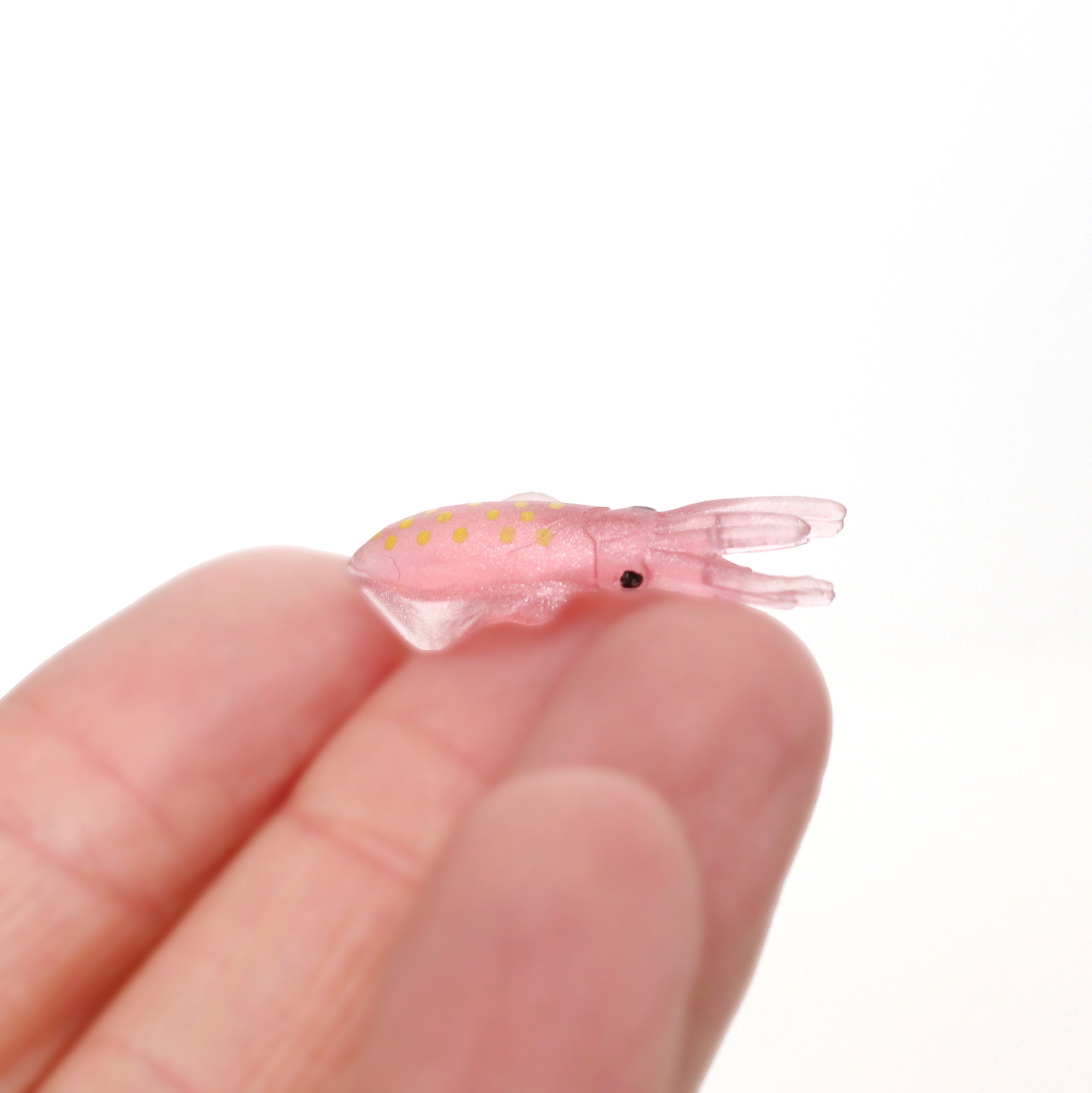 Set of Miniature Squids Mini Squid Terrarium Supplies - Etsy