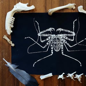 Sew-on Back-Patch ~ WHIP SCORPION Arachnid ~ Punk fashion, Hand printed lightweight cotton