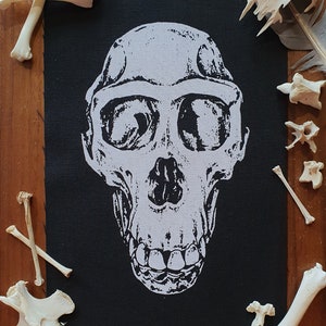 Puede incluir: Un parche de tela negro con una impresión blanca de un cráneo de primate. El cráneo está detallado con dientes, cuencas de los ojos y una cresta supraorbitaria prominente.