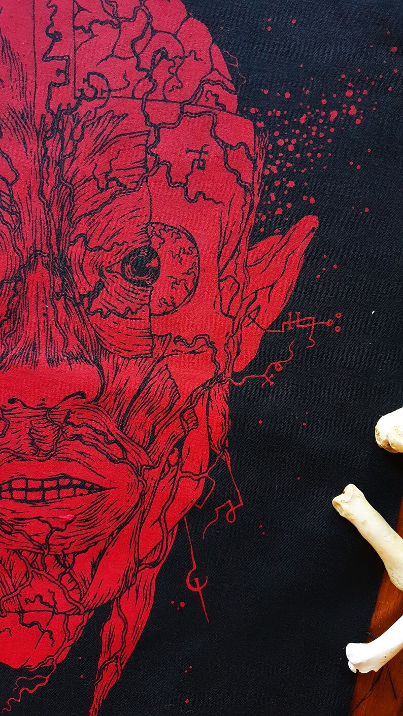 May include: Red anatomical illustration of a human face with a large eye and exposed veins on a black background.