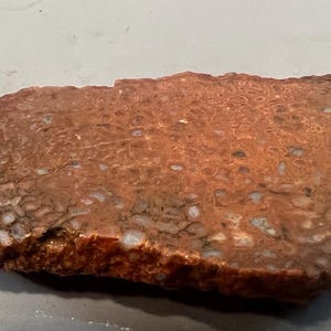 May include: A polished, irregularly shaped stone with a reddish-brown hue, featuring a network of lighter-colored veins and patterns. The stone's surface has a textured appearance, with areas of darker, almost gray coloration. This unique stone could be used for decorative purposes.