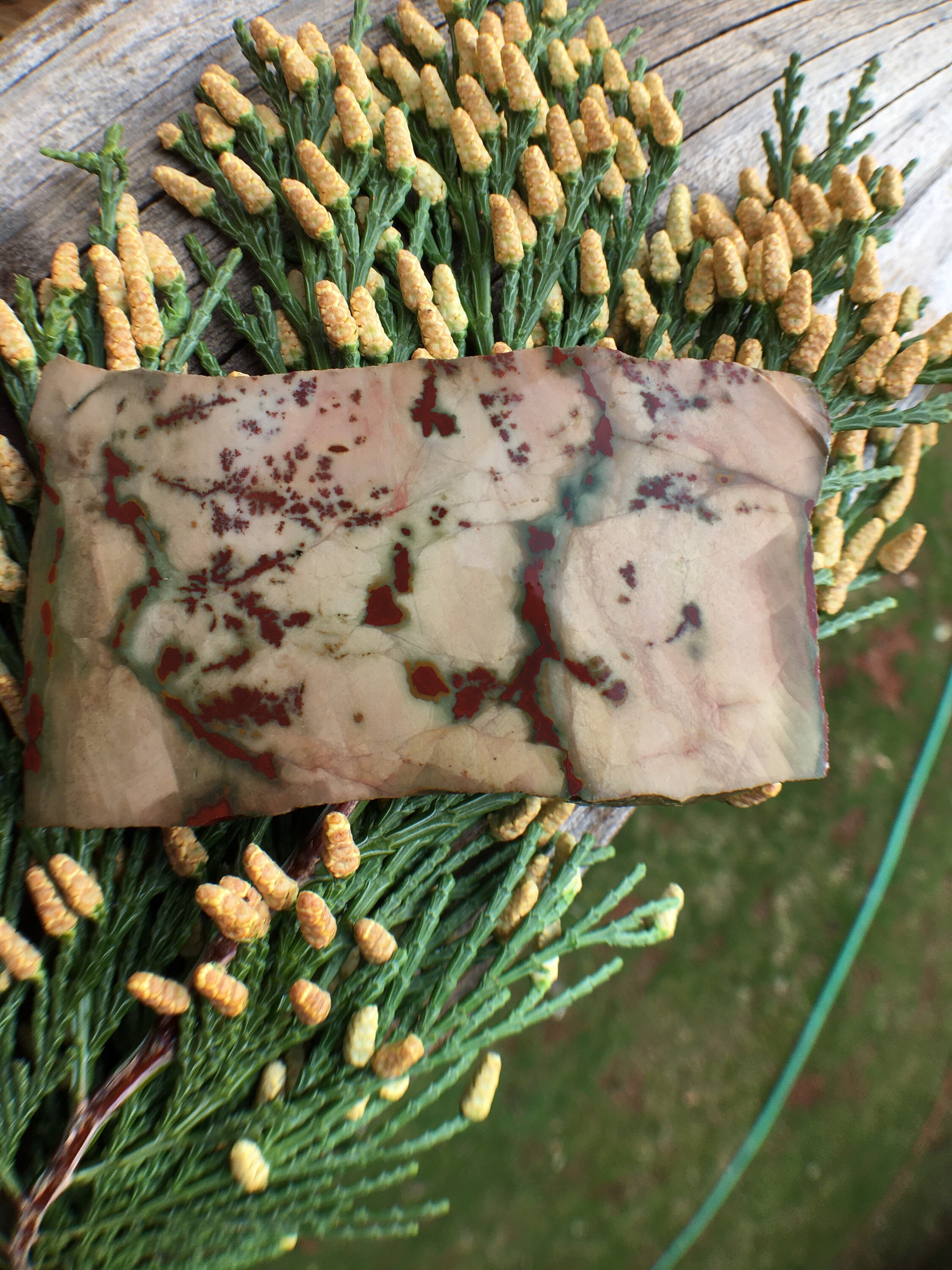 Outstanding Owyhee Chinese Dendritic Jasper slab flower jasper natural