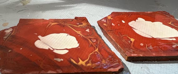 Scenic Noreena  Jasper Slab Pair: Australian Lapidary Stone Display