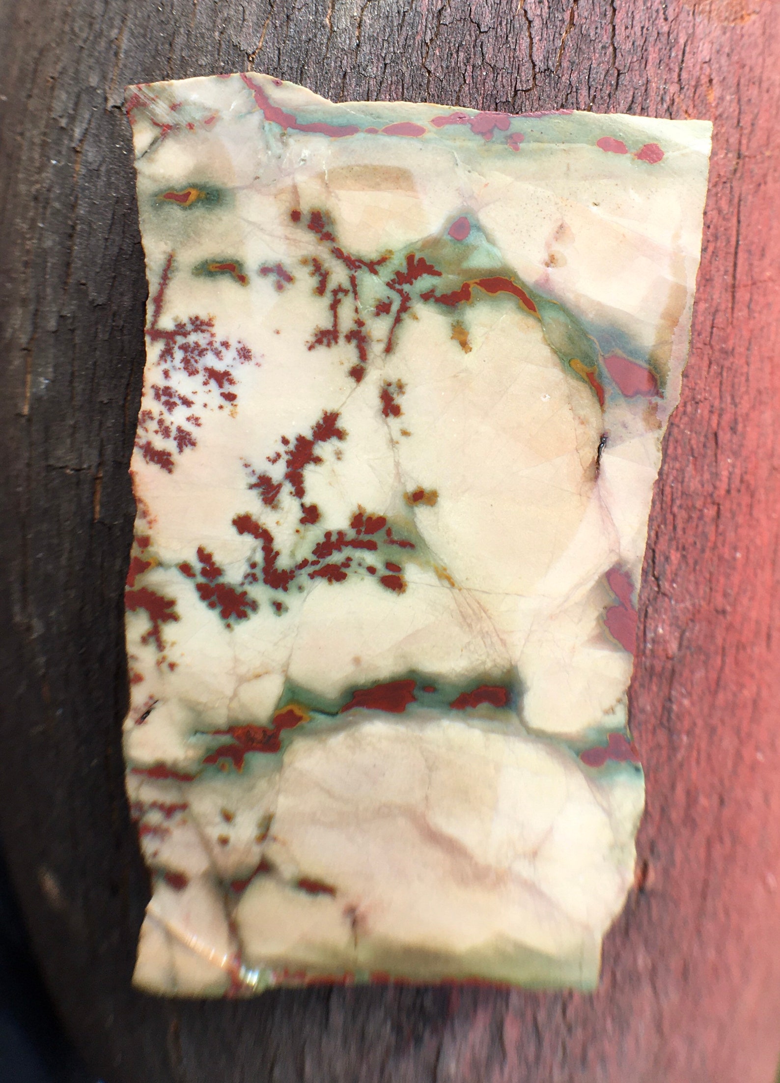 Outstanding Owyhee Chinese Dendritic Jasper slab flower jasper natural