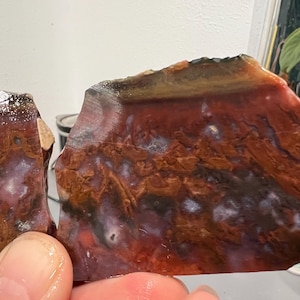 May include: Two rough-cut, polished stone slabs. The stones display a rich palette of colors, including deep reds, browns, and hints of white. The surfaces have a natural, textured appearance, showcasing the unique patterns and variations of the stone.