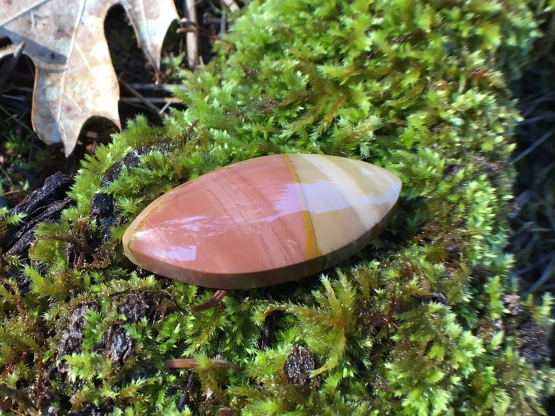 Desert rose picture jasper freeform eye shape cabochon owyhee canyon bicolor
