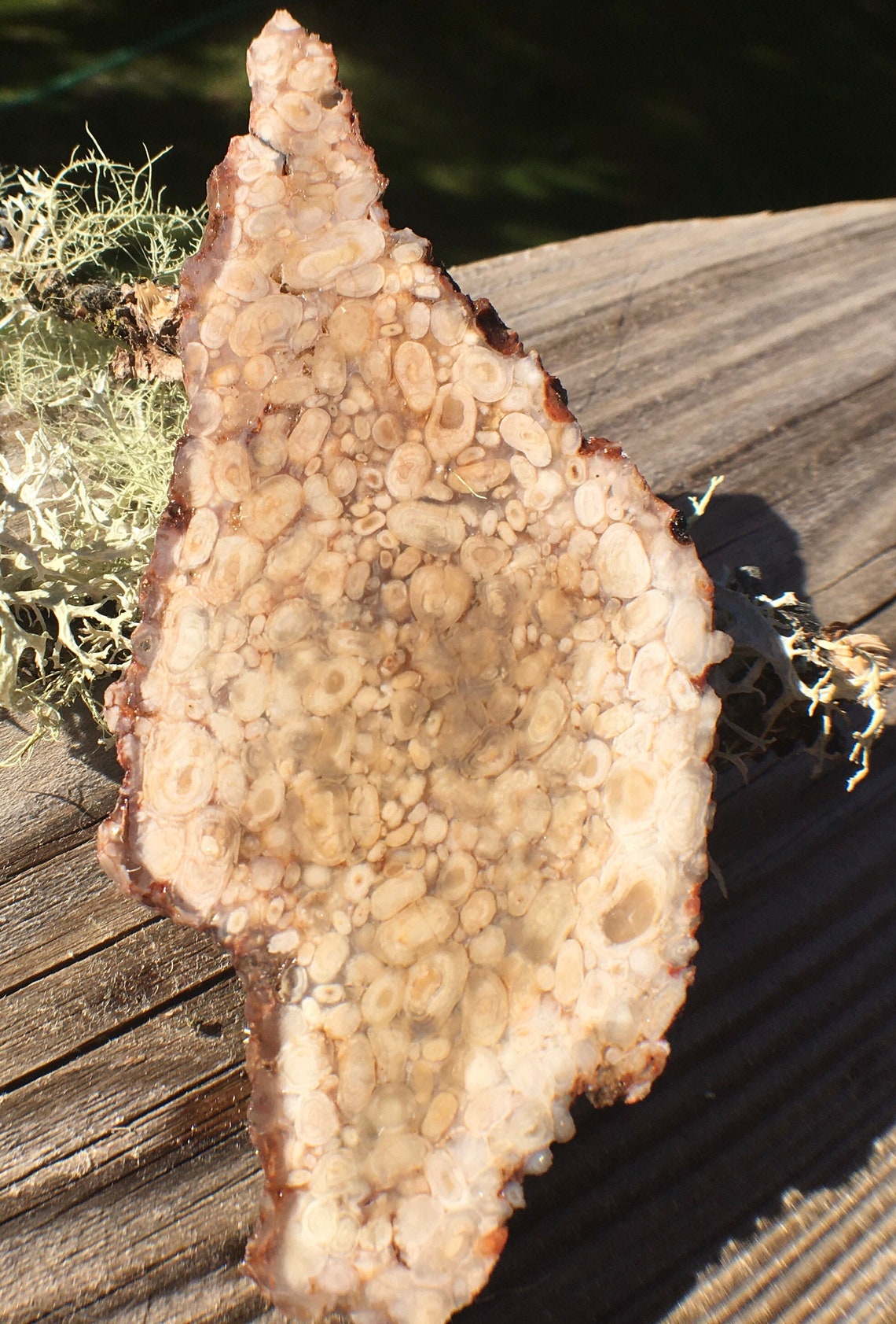 oolite sand oolite sand