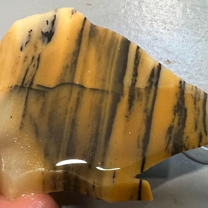 May include: A polished, irregularly shaped stone with a striking pattern of alternating yellow and black stripes. The stone has a smooth, glossy surface and a natural, organic form. The color palette is warm and earthy, with variations in tone.