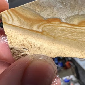 May include: A piece of sandstone with layers of tan, brown, and white. The stone has a rough, textured surface and appears to be a natural, geological specimen. The colors and patterns suggest a sedimentary origin.