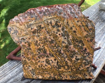 May include: A close-up of a slab of polished stone with a unique pattern of brown, yellow, and black spots and veins. The stone has a natural, organic look and feel.