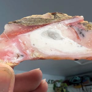 May include: A polished, irregularly shaped gemstone with a mix of colors. The stone features a base of white and pink hues, with streaks of red and brown. The surface is smooth and translucent, revealing the internal patterns of the stone.