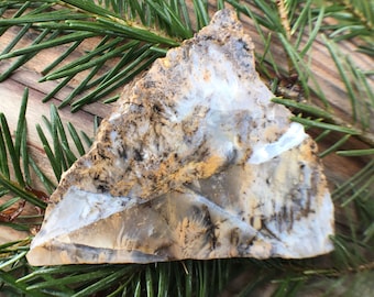 Sheep creek plume  Agate Slab: Dendritic Gemstone Slice for Jewelry Display