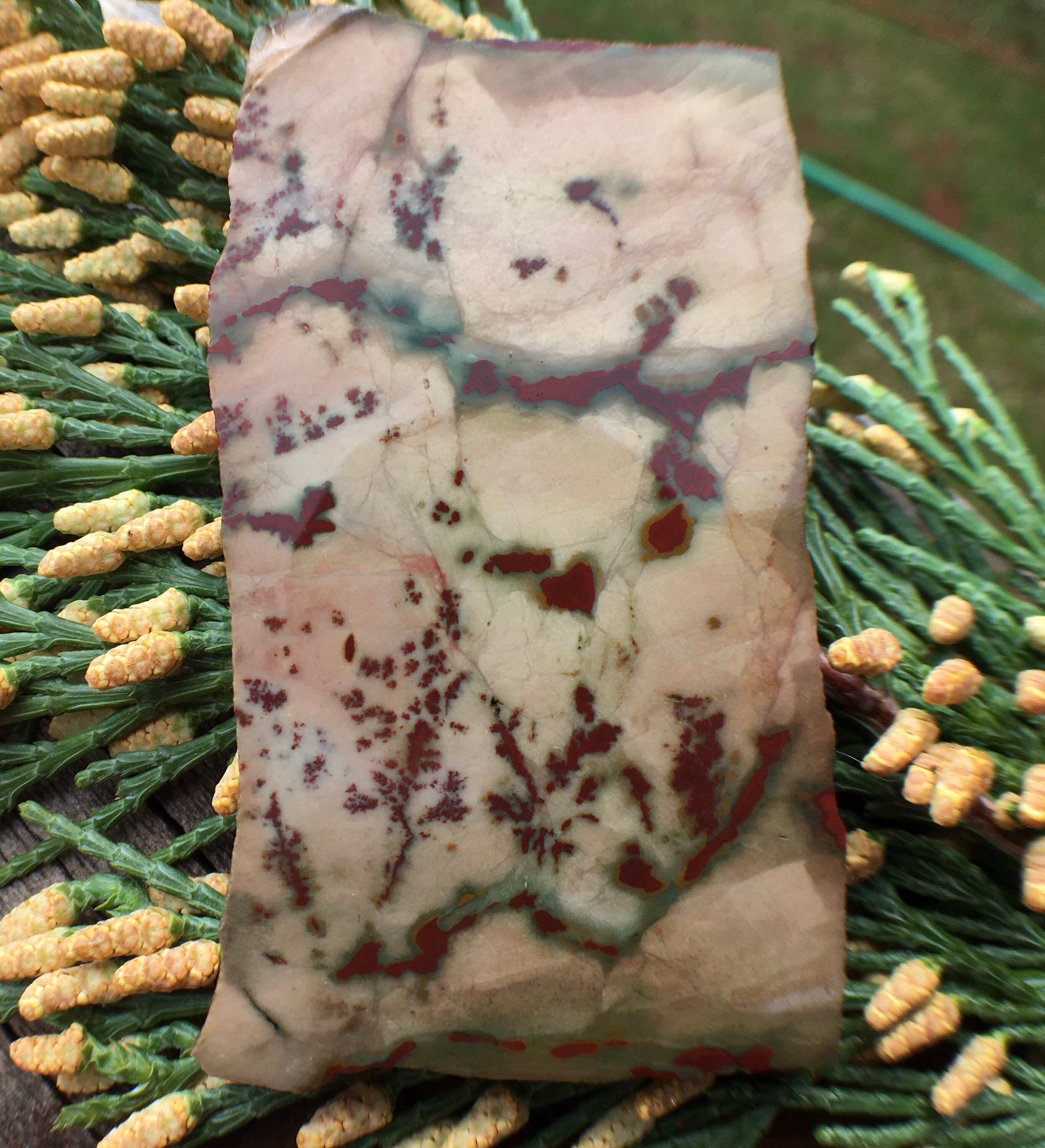 Buy Outstanding Owyhee Chinese Dendritic Jasper Slab Flower Jasper